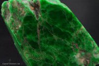 /album/fotogaleria-novinky/images-8-jpg/